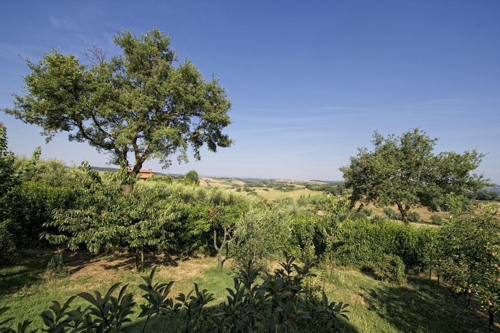Agriturismo I Roseti Montepulciano Room photo